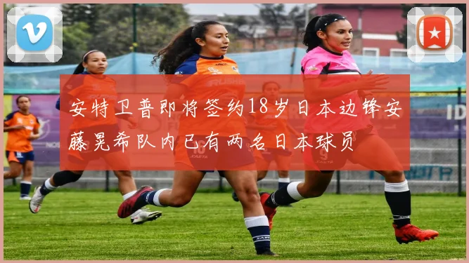 安特卫普即将签约18岁日本边锋安藤晃希队内已有两名日本球员
